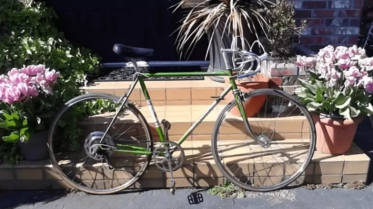 Vintage Bicycle Restoration: Finding a Gem