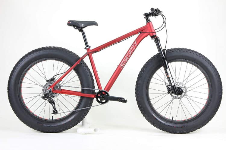 fat sand bike