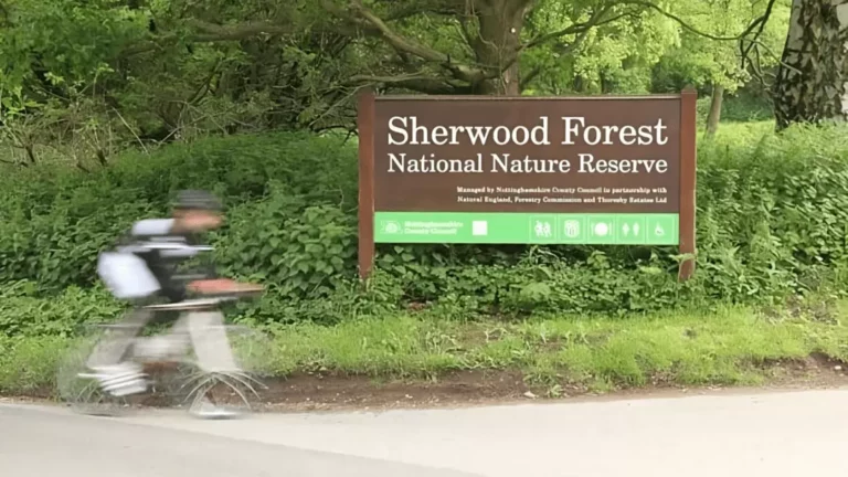 A Road Cycling Tour of the Best Places to Visit in Sherwood Forest