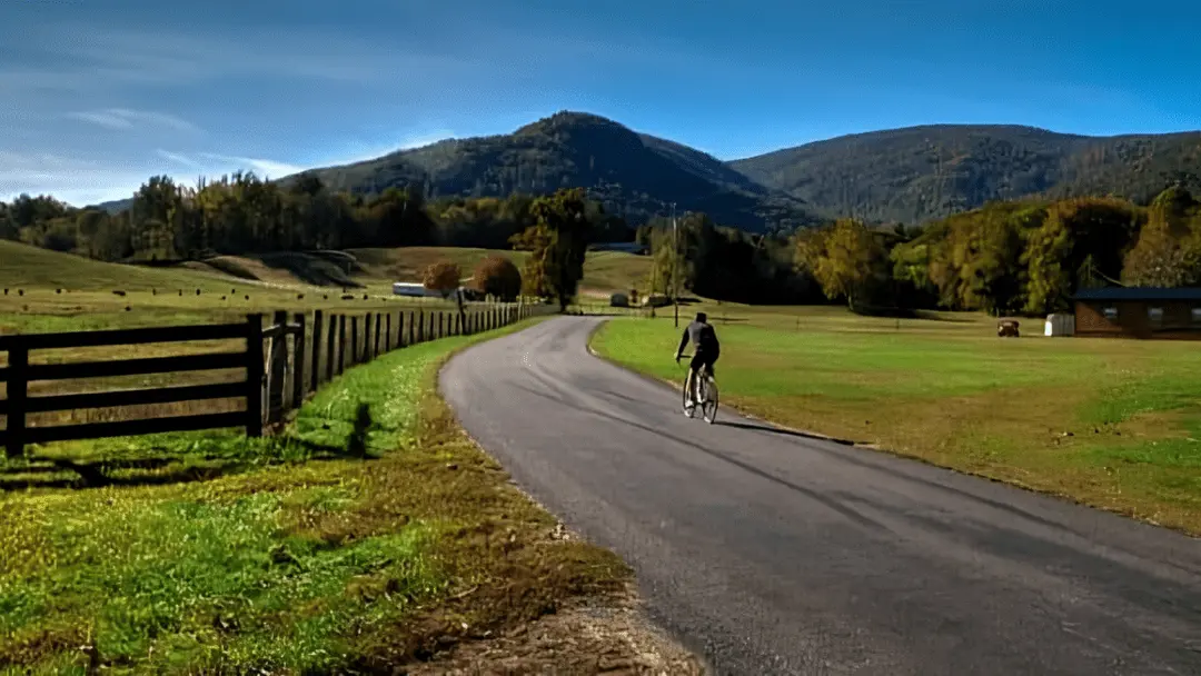 great entry level road bikes