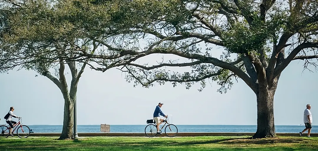 best type of bicycle for exercise