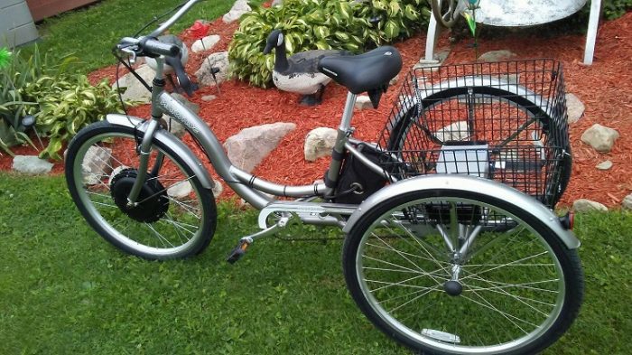 schwinn meridian single speed tricycle