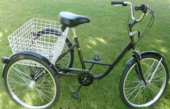 large tricycles for adults