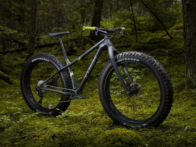 inexpensive fat bikes