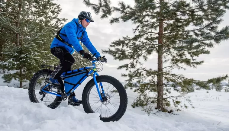 What is a Fat Bike Good for?