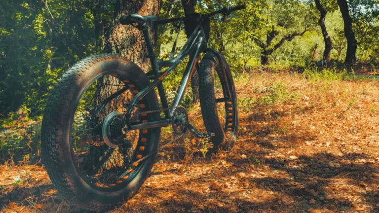 What Should I Look for When Buying a Fat Tire Bike?