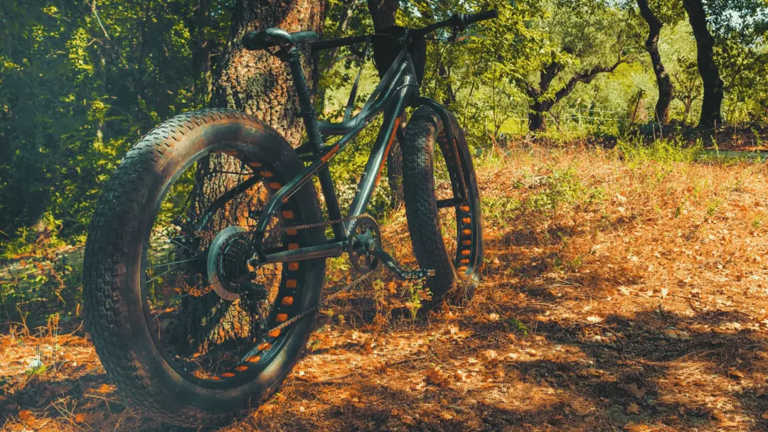 what should i look for when buying a fat tire bike