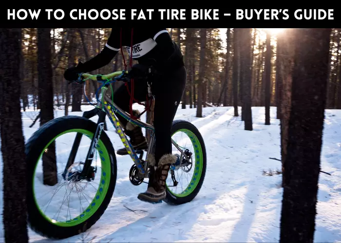 Best Affordable Fat Tire Bikes