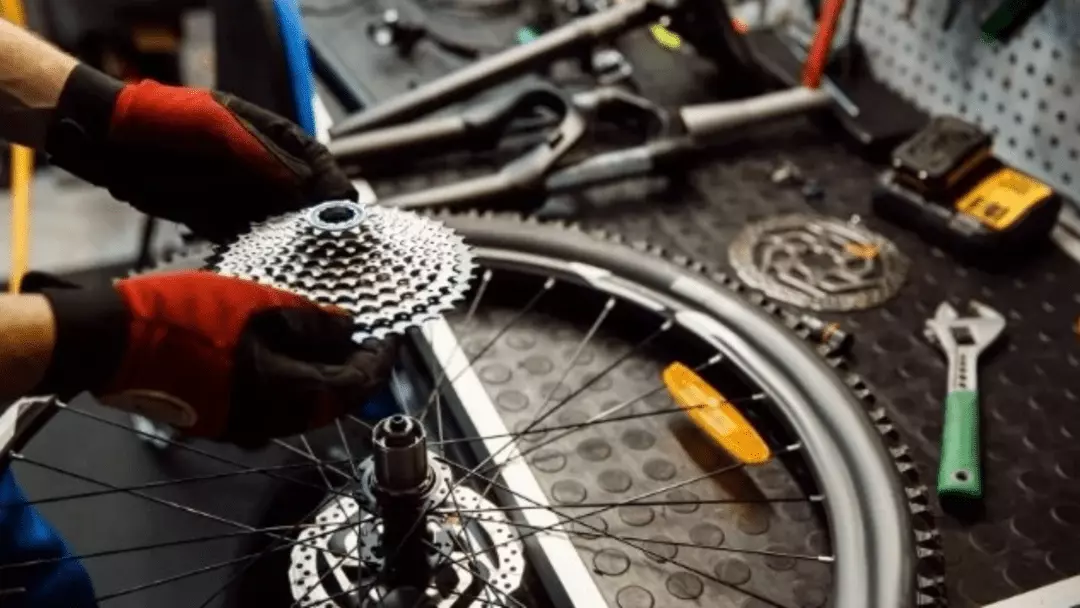 how to remove bike cassette without special tools