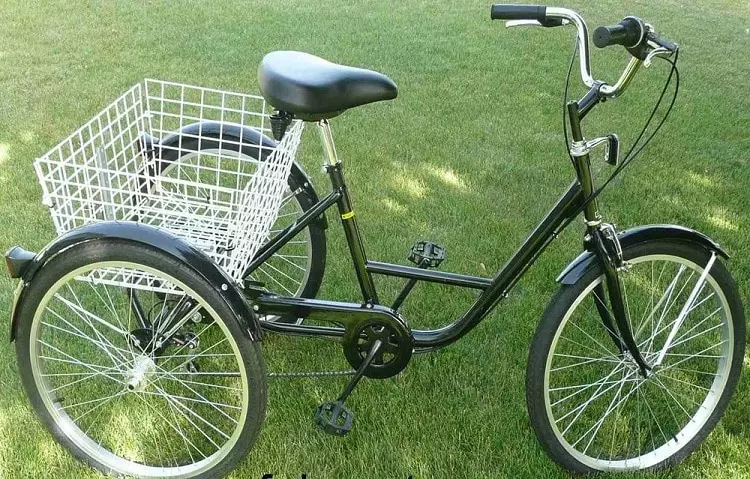 best tricycle for adults buyer guide